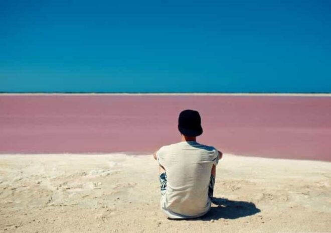 Las Coloradas: Pink Lake Visit and Boat Ride in Río Lagartos - Flamingo Watching and Crocodile Farm