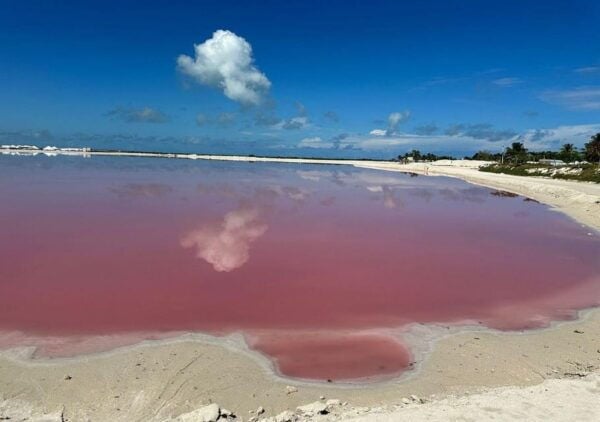 Las Coloradas: Pink Lake Visit and Boat Ride in Río Lagartos - Experiencing Natures Beauty