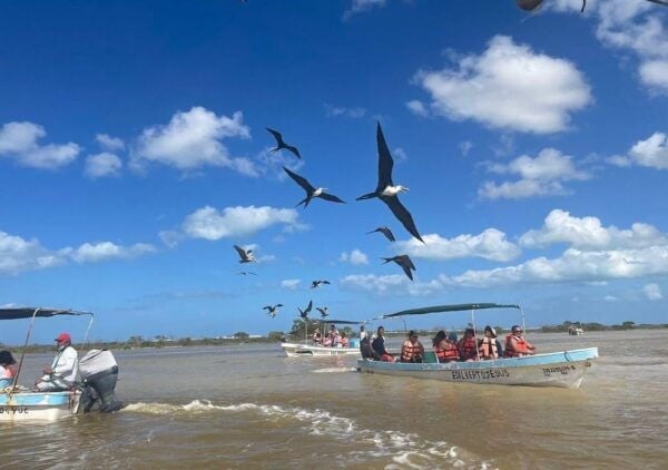 Las Coloradas: Pink Lake Visit and Boat Ride in Río Lagartos - Important Tour Information
