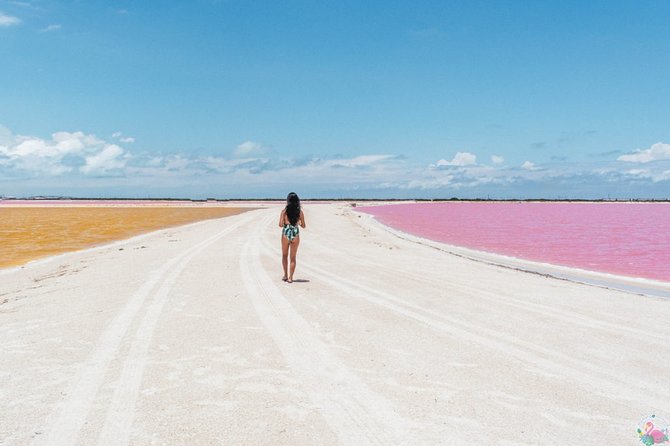 Las Coloradas Pink Lake With Ría Lagartos Boat Trip and Meals - Cancun - Customer Feedback and Additional Information