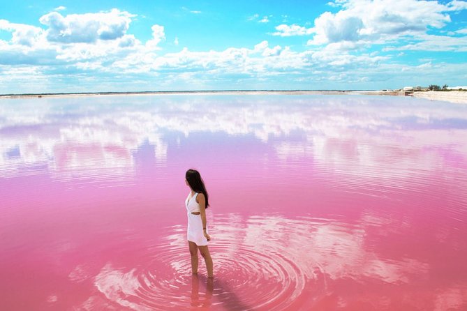 Las Coloradas Pink Lake With Ría Lagartos Boat Trip and Meals - Cancun - The Sum Up