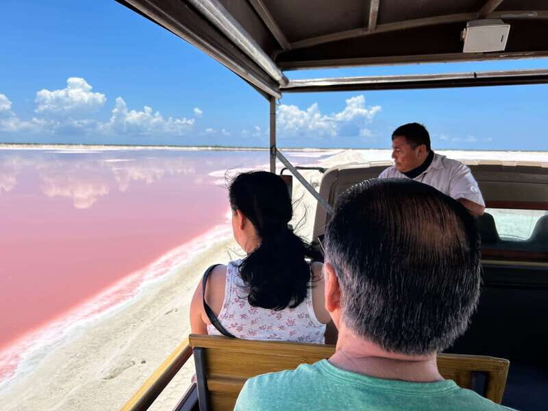 Las Coloradas: Pink Lakes Safari Tour - Exploring the Itinerary in Detail