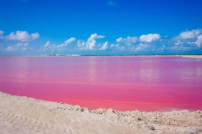 Las Coloradas, Río Lagartos and Playa Cancunito Tour from Mérida - Good To Know