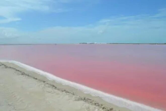 Las Coloradas + Rio Lagartos Private Tour - Inclusions