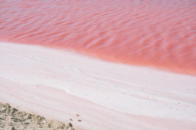 Las Coloradas - Preparation and Requirements
