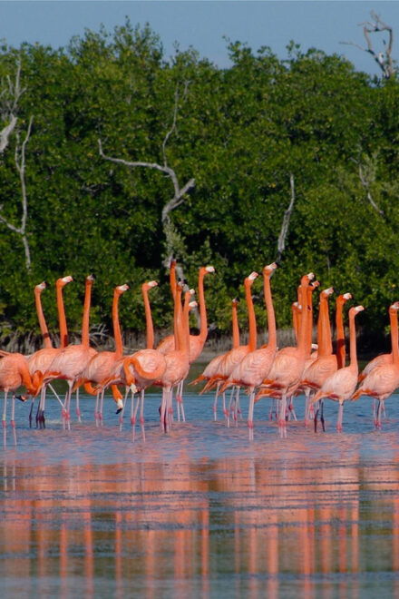 Las Coloradas - Customer Reviews
