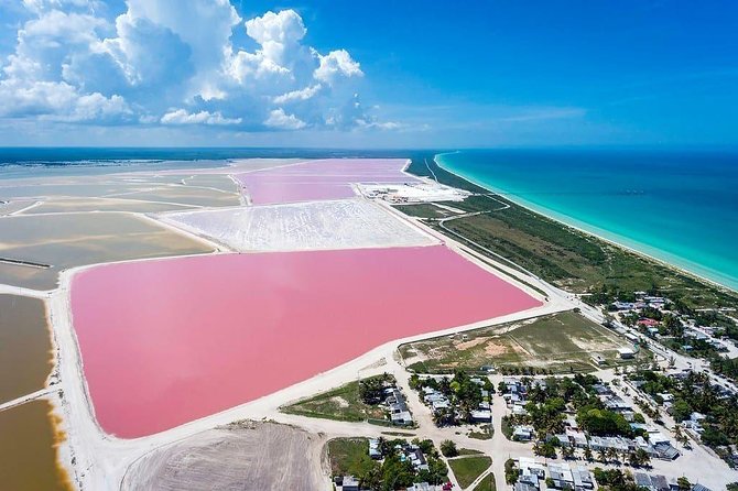Las Coloradas Tour! Boat Ride, Lunch & Rio Lagartos From Cancun - Tour Highlights
