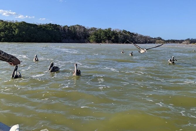 Las Coloradas Tour! Boat Ride, Lunch & Rio Lagartos From Cancun - Salt Making and Mayan Mud Bath