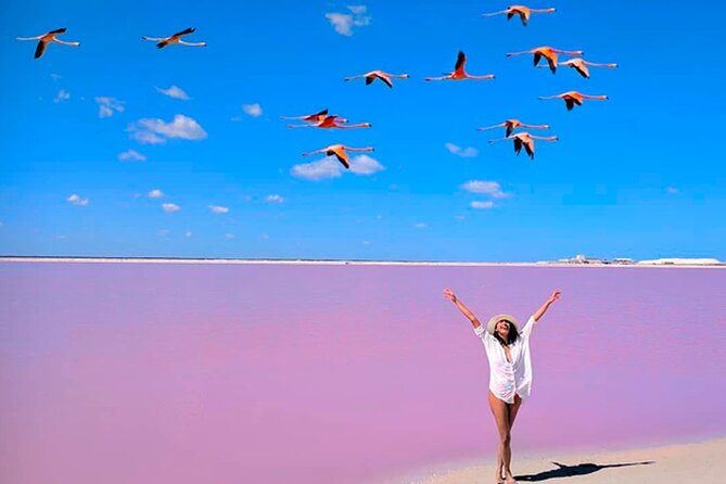 Las Coloradas Tour - Overview of Las Coloradas