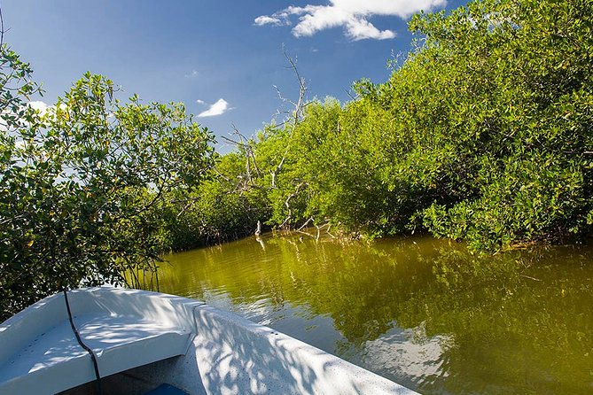 Las Coloradas Tour From Cancun and Playa Del Carmen - Traveler Reviews