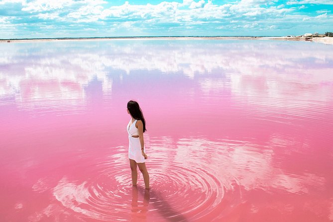 Las Coloradas Tour From Cancun and Playa Del Carmen - How to Book