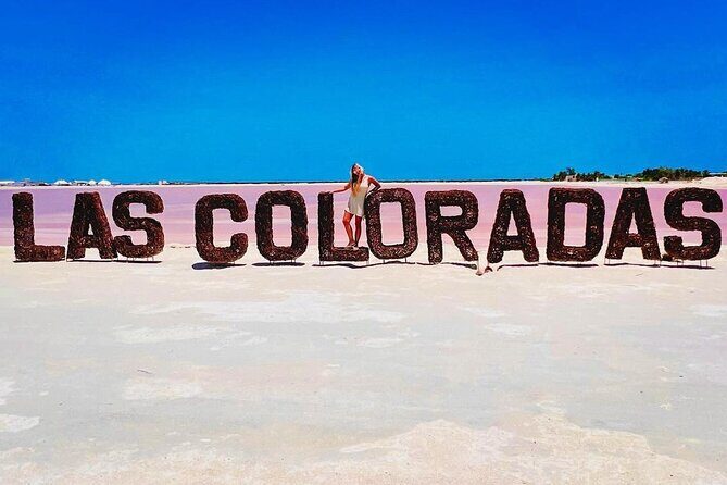 Las Coloradas Tour to Pink Lakes and Wildlife Wonders - An In-Depth Look at the Tour Experience