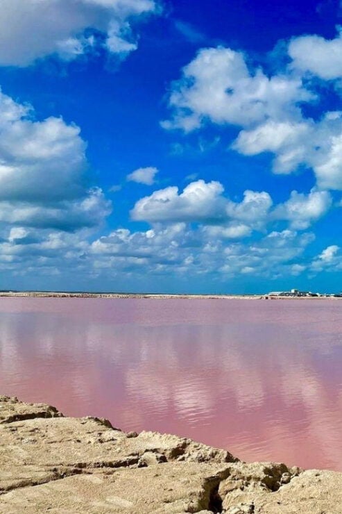 Las Coloradas: Tour to the Pink Salt Lake and Rio Lagartos - Itinerary and Highlights
