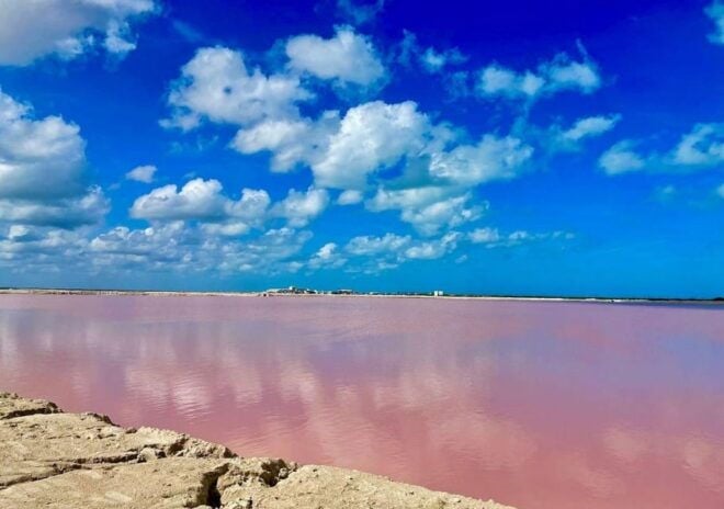 Las Coloradas: Tour to the Pink Salt Lake and Rio Lagartos - Transportation and Pickup Details
