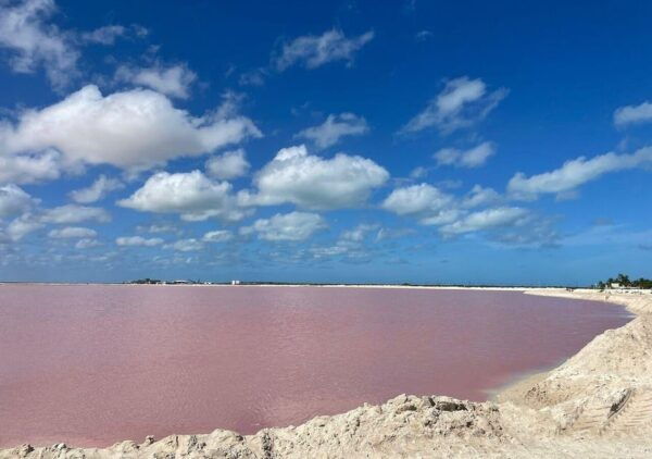 Las Coloradas: Tour to the Pink Salt Lake and Rio Lagartos - Photography and Breathtaking Views