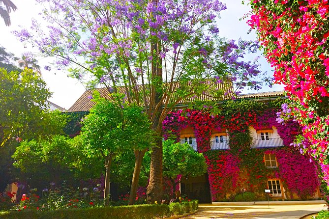 'Las Dueñas' Palace - Nearby Attractions