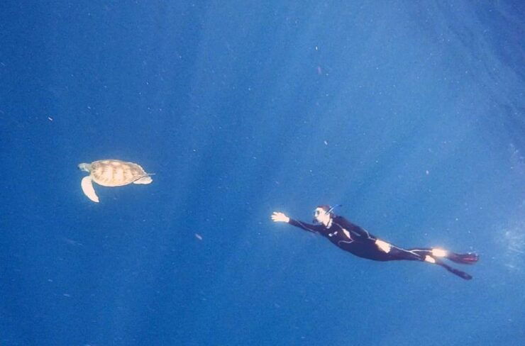 Las Galletas: Tenerife Turtles and Rays Snorkeling Cruise - Duration Information