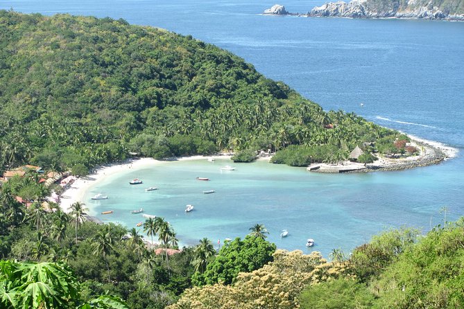 Las Gatas Kayaking and Snorkeling Tour - Traveler Photos and Reviews