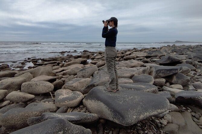 Las Labradas Archaeological Site - Nature and History Tour - Frequently Asked Questions