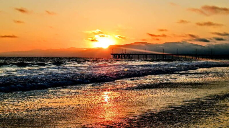 LA's Most Romantic Luxury Wine & Dine Boat Cruise & Sealions - Who Will Love This Tour?