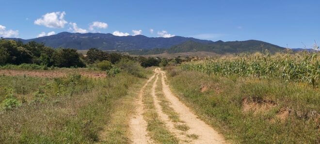 Las Nieves" Monte Albán, Arrazola, Cuilapam 6h Bike Tour - What to Bring