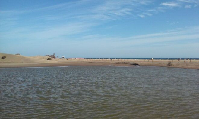 Las Palmas: 8-Hour Gran Canaria Island Highlights Tour - Inclusions