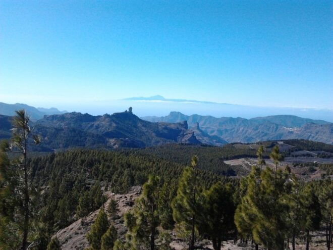 Las Palmas: 8-Hour Gran Canaria Island Highlights Tour - Customer Reviews