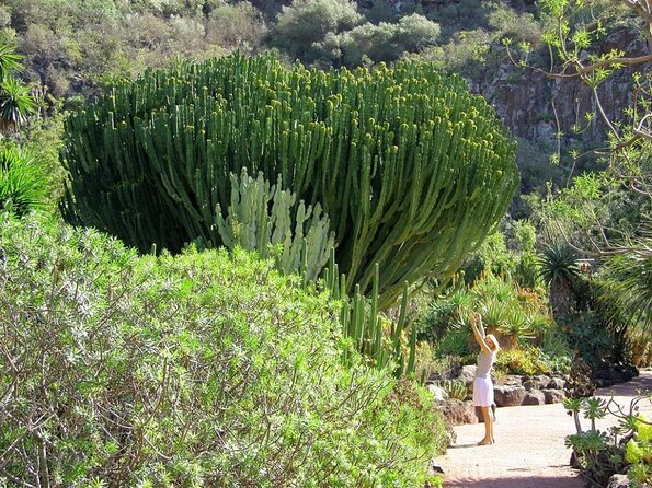 Las Palmas City Tour and Surroundings - Meeting and Pickup Details