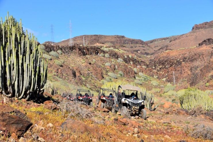 Las Palmas: Gran Canaria Guided Buggy Tour - Activity Details
