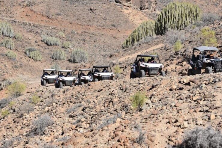 Las Palmas: Gran Canaria Guided Buggy Tour - Experience the Thrill