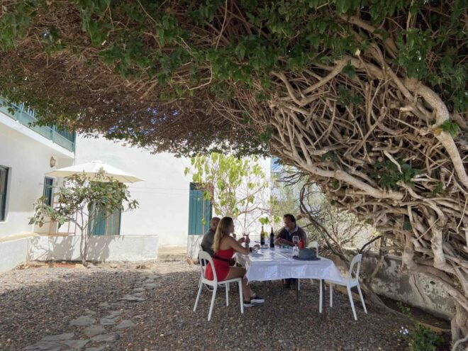 Las Palmas: Gran Canarias Best Wineries and Views Tour - Booking Information