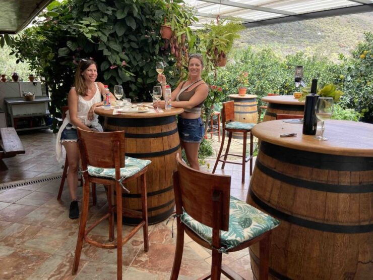 Las Palmas: Gran Canaria's Best Wineries and Views Tour - Tour Details