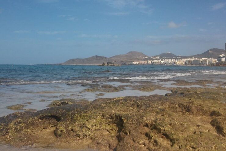 Las Palmas: Las Canteras Beach Snorkeling Trip - Experience