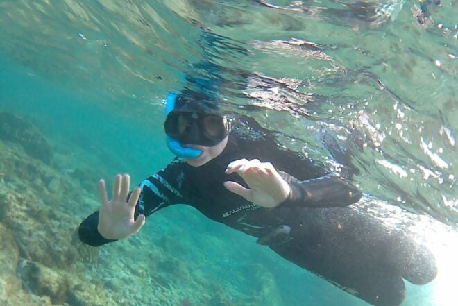 Las Palmas: Las Canteras Beach Snorkeling Trip - Inclusions