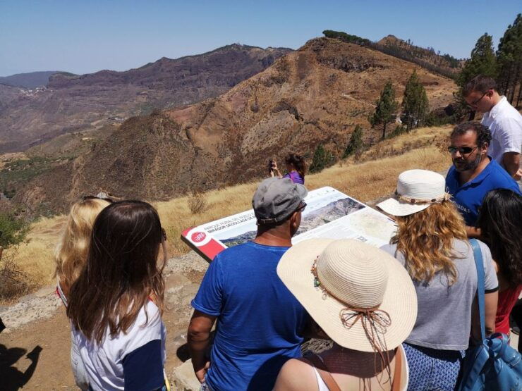 Las Palmas: Maspalomas to the Tejeda Mountains Grand Tour - Good To Know