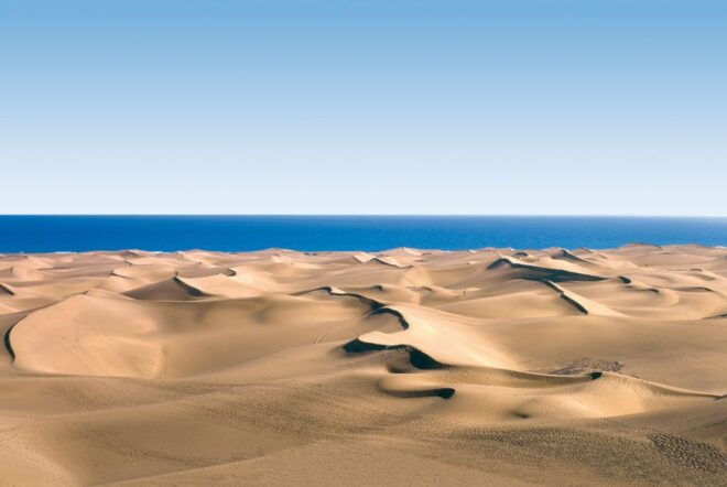 Las Palmas: Maspalomas to the Tejeda Mountains Grand Tour - The Sum Up