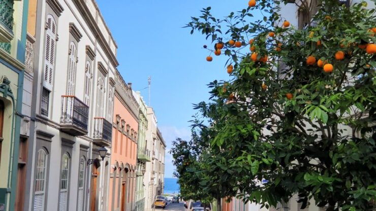 Las Palmas: Old Town Highlights Self-Guided Walking Tour - Booking and Logistics