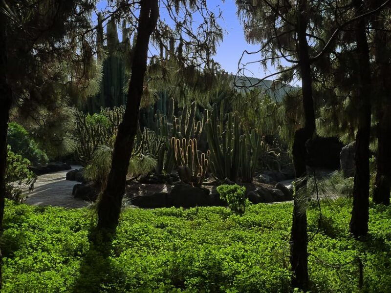 Las Palmas: Privat Botanic Garden Tour & Opt. Hike Extension - Good To Know
