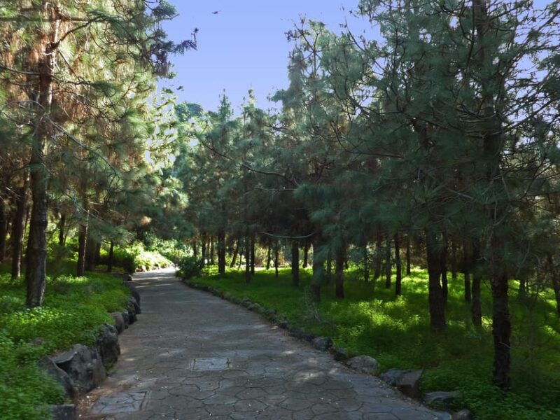 Las Palmas: Privat Botanic Garden Tour & Opt. Hike Extension - Tour Features and Activities