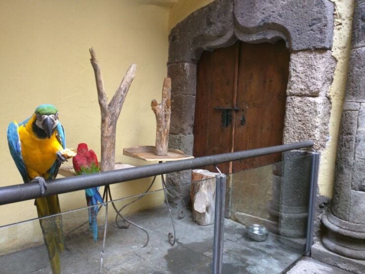 Las Palmas: Private Old City Guided Walking Tour With Tapas - Tour Details