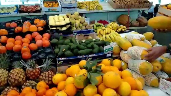 Las Palmas: Private Old City Guided Walking Tour With Tapas - Additional Information