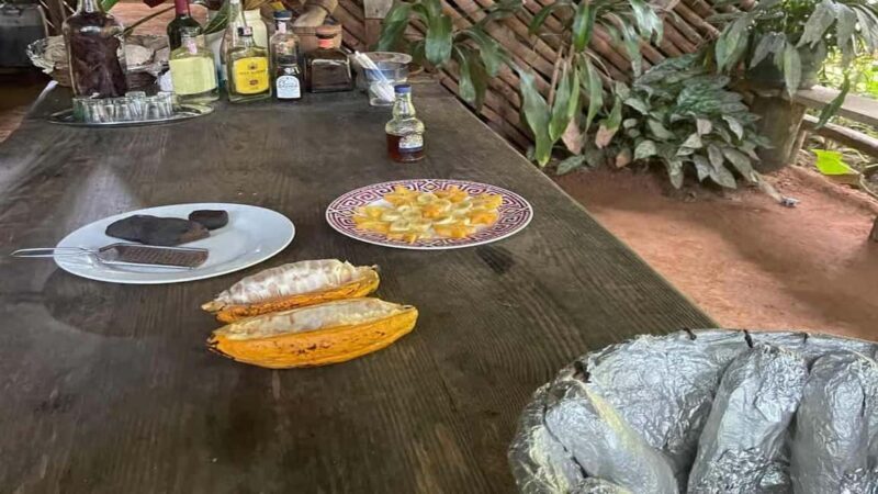 Las Terrenas: ATV Tour with Farm Visit and Beach Stop - FAQs