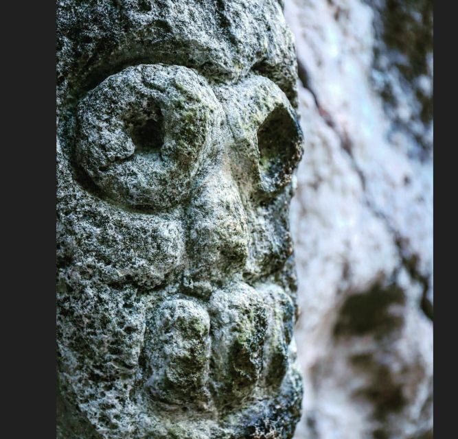 Las Terrenas: Los Haitises Boat and Walking Tour with Lunch - FAQ