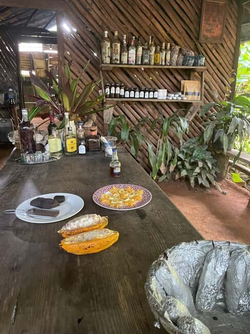 Las Terrenas: Private Coffee Trail ATV Tour in Samana - The value of this tour