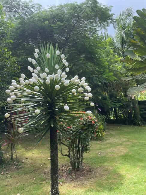 Las Terrenas: Private Coffee Trail ATV Tour in Samana - FAQs