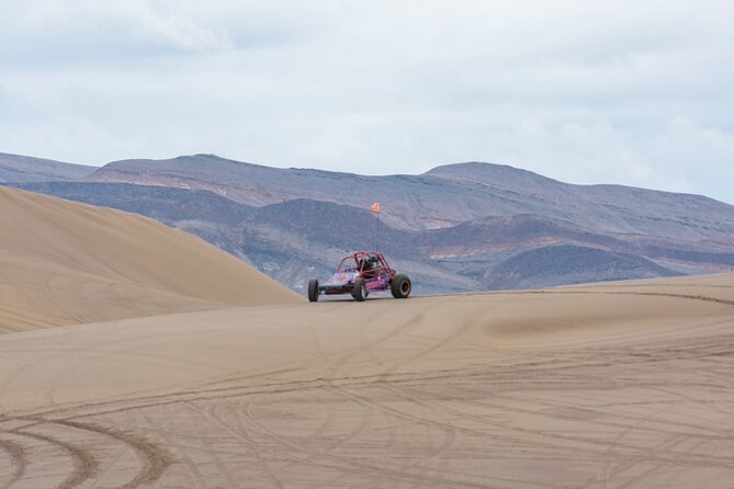 Las Vegas Big Dune Free Roam Adventure at Amargosa - Pricing and Booking Details