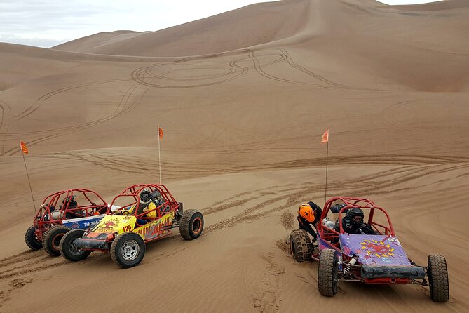 Las Vegas Big Dune Free Roam Adventure at Amargosa - Reviews and Photos From Previous Travelers
