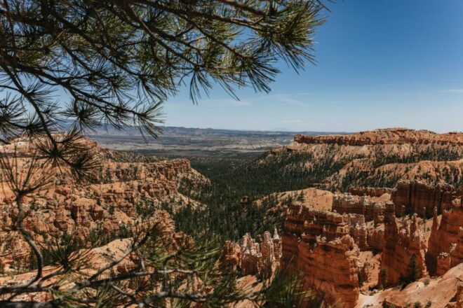 Las Vegas: Bryce and Zion National Parks Tour With Lunch - Important Information