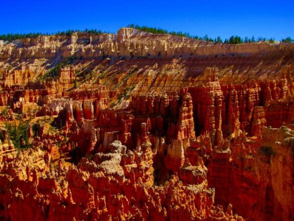 Las Vegas: Bryce and Zion National Parks Tour With Lunch - Customer Reviews