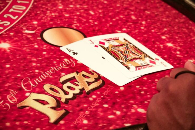 Las Vegas Casino: Gambling Class at the Plaza Hotel & Casino - Activity Details